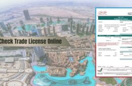 How to Check Trade License Online for Any UAE Company?
