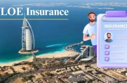 Everything You Must Know About ILOE Insurance in the UAE